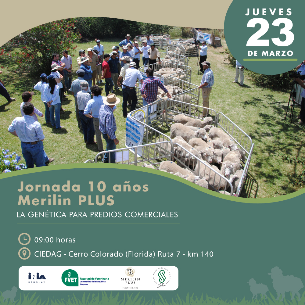Jornada 10 años Merilin Plus 