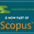 Agrociencia Uruguay es parte de Scopus 