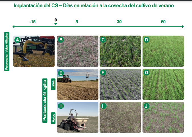 Criterios para implantación de cultivos de servicio