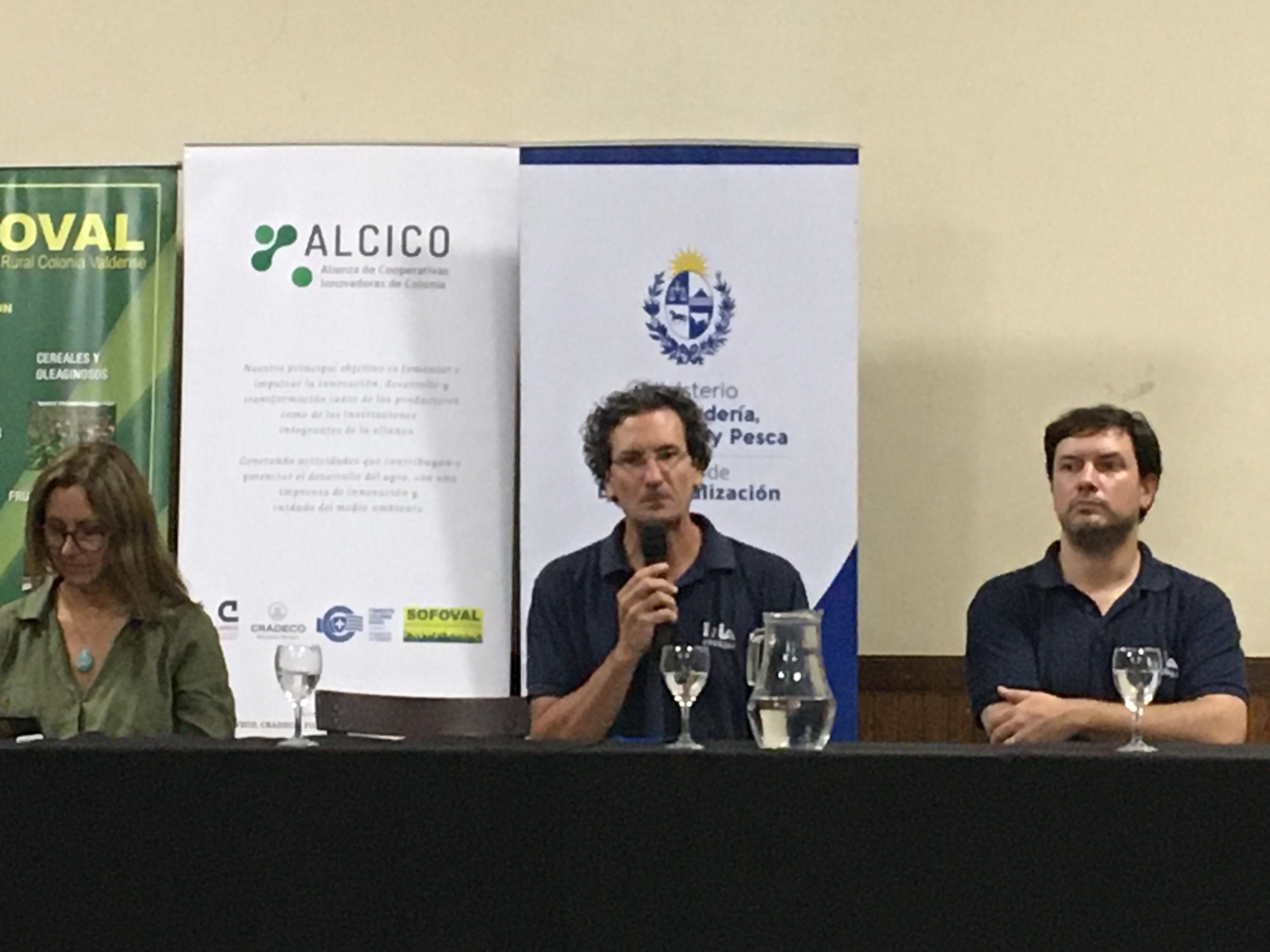 Aspectos a tener en cuenta para recomponer la base forrajera en la sequía.