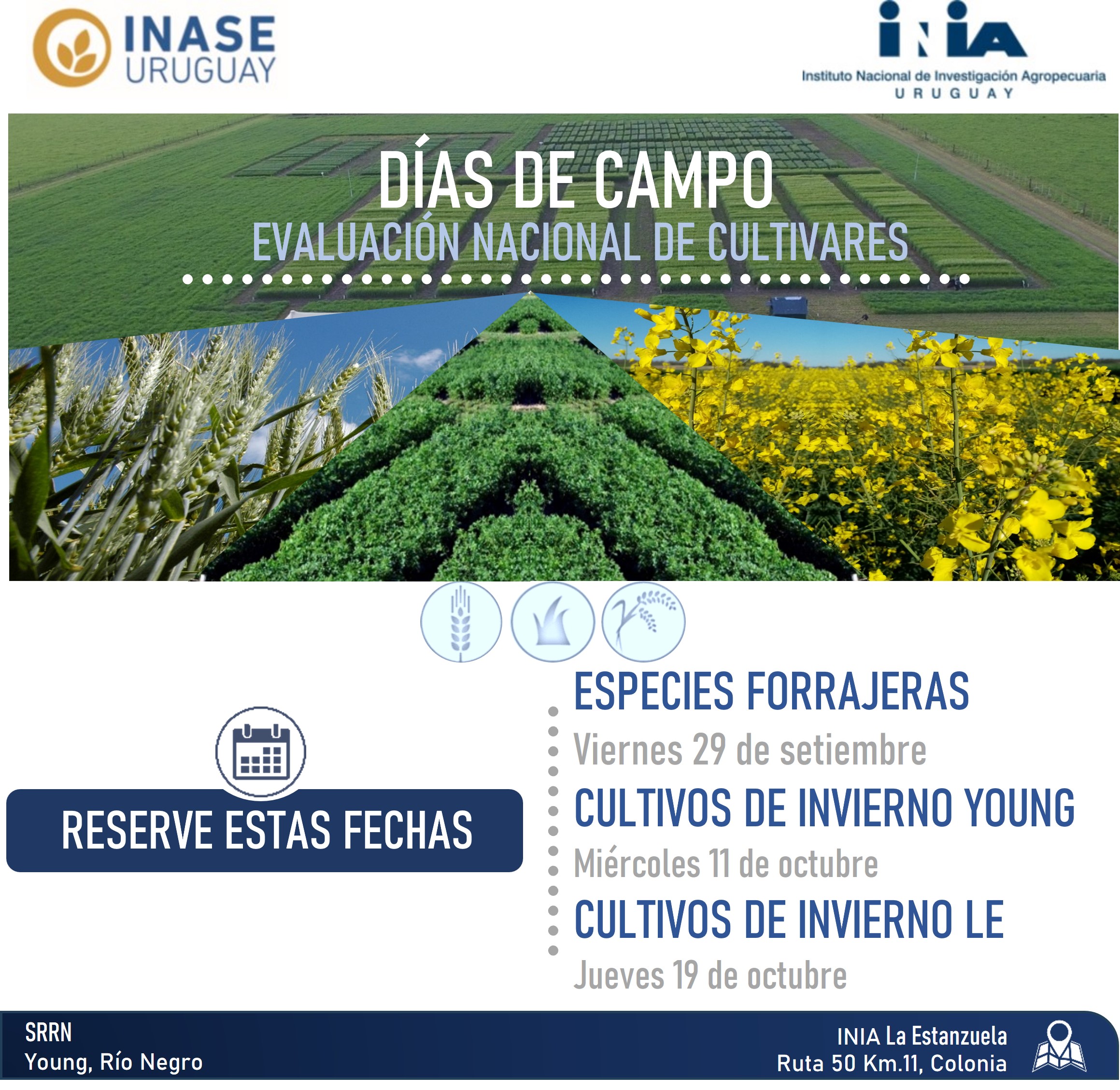 Día de Campo de Especies Forrajeras de la Evaluación Nacional INASE - INIA 2023