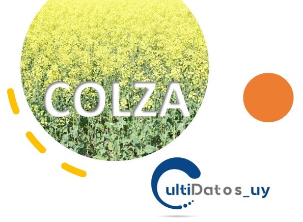 Información de la Evaluación Nacional de COLZA disponible en Cultidatos_UY