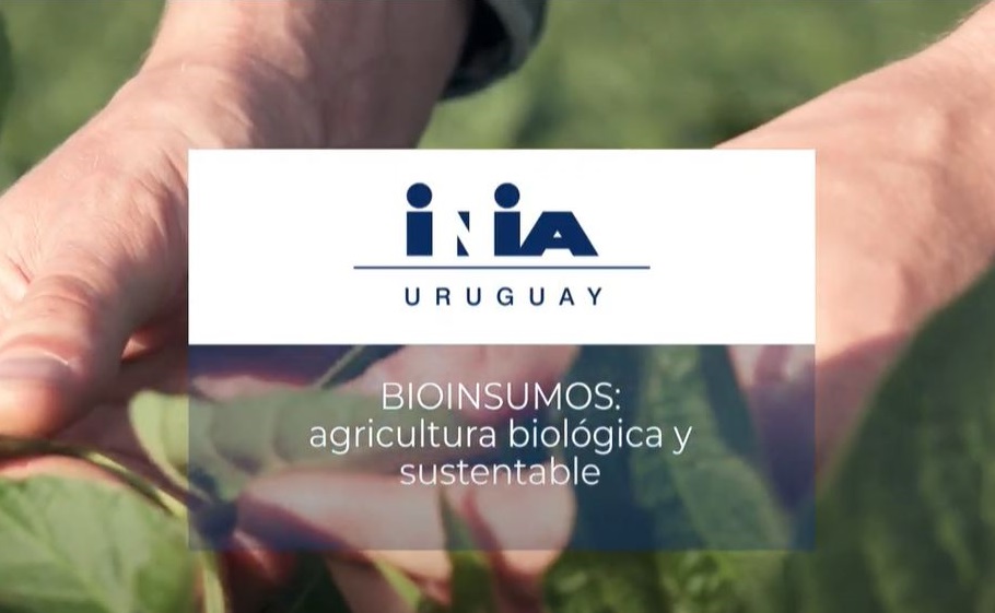 Video - Bioinsumos: Agricultura biológica y sustentable