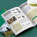 INIA junto a varias instituciones presentan la Guía para el diseño de sistemas ganaderos climáticamente inteligentes