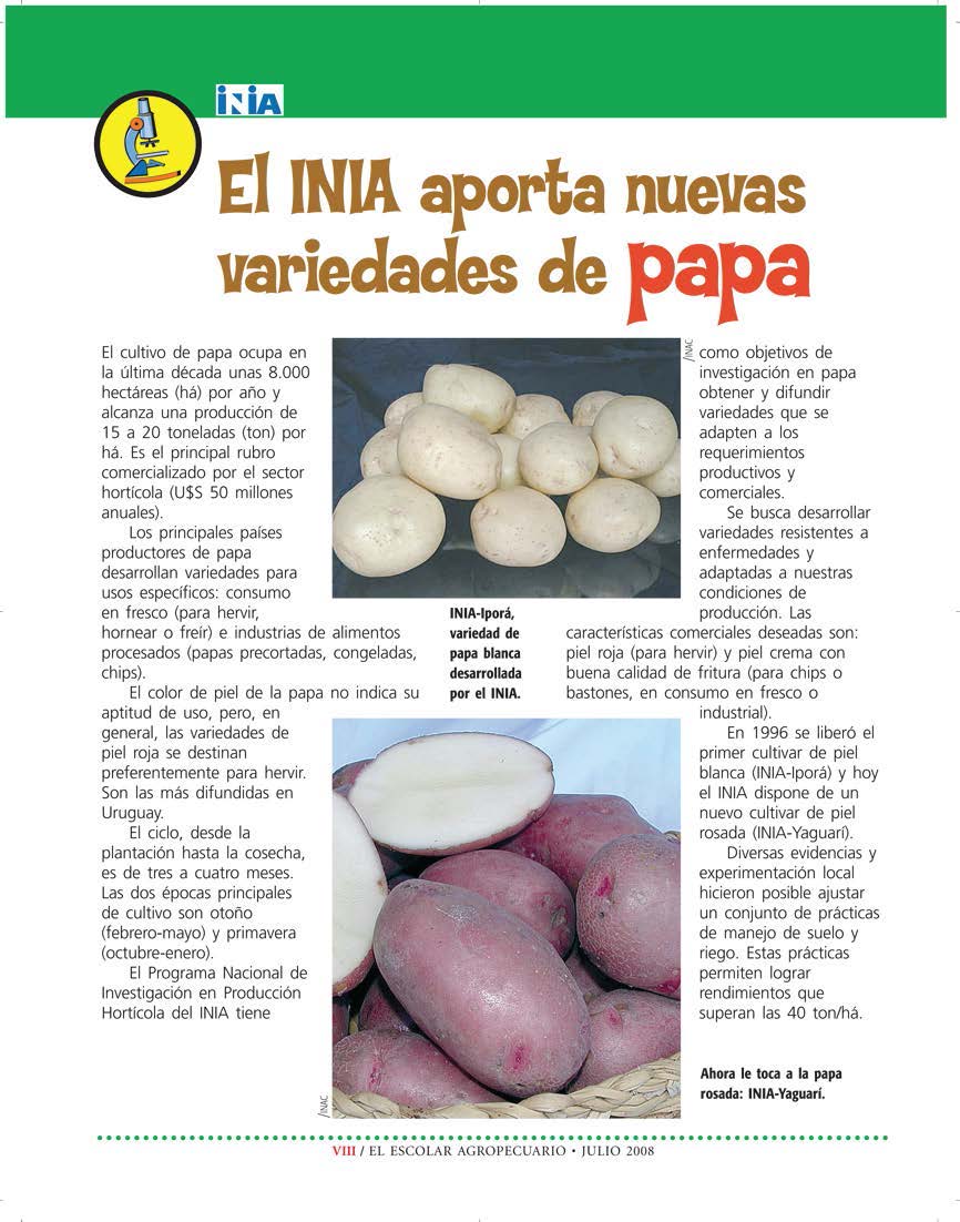 Escolar_Julio 2008
