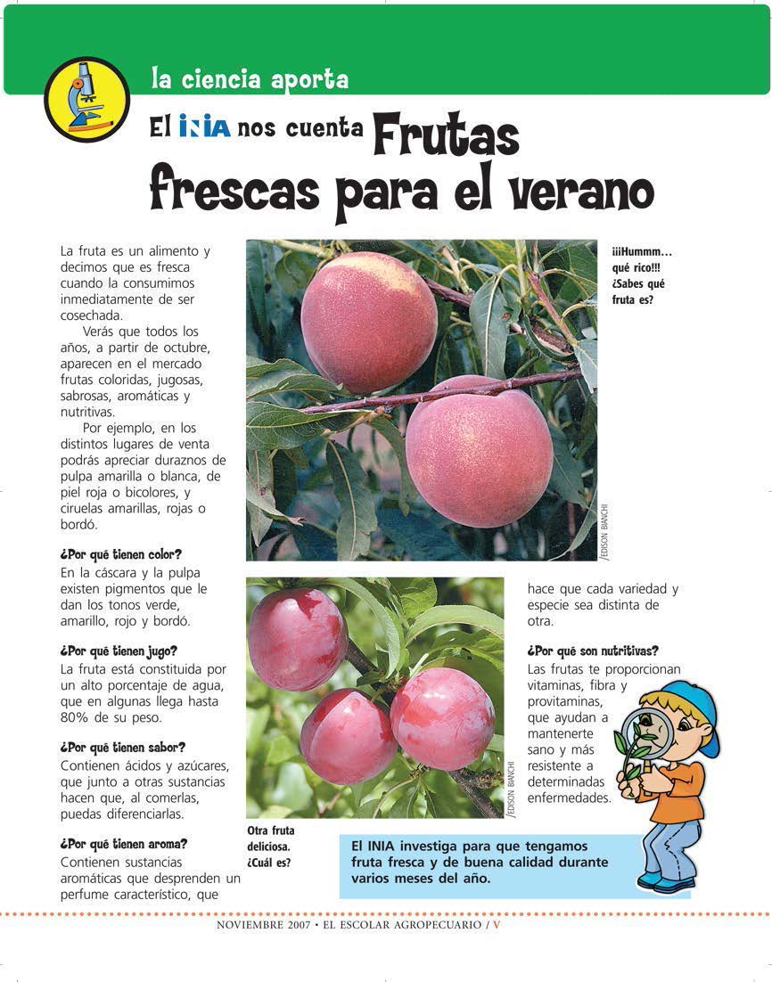 Escolar_Nov 2007