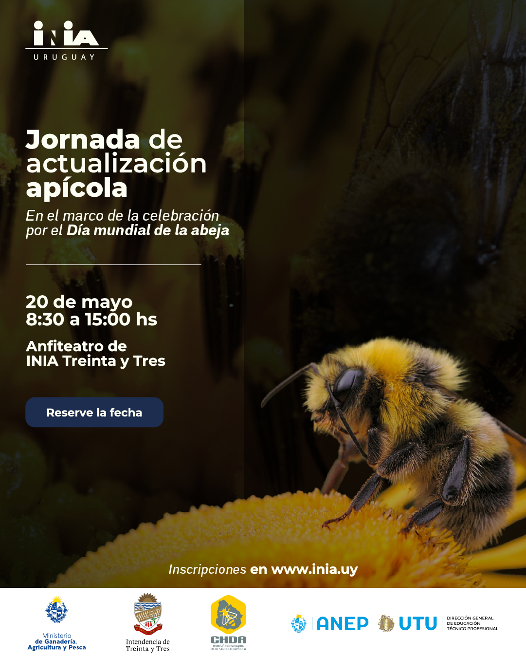 invitación jornada