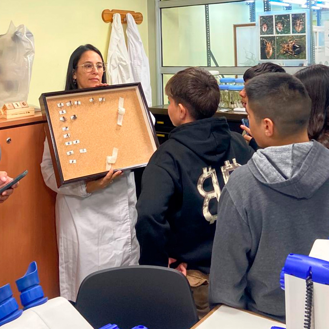 niños mirando colección de insectos en laboratorio de entomología forestal
