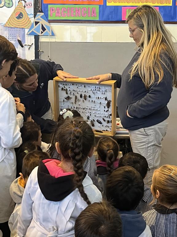 Insectario y Alicia