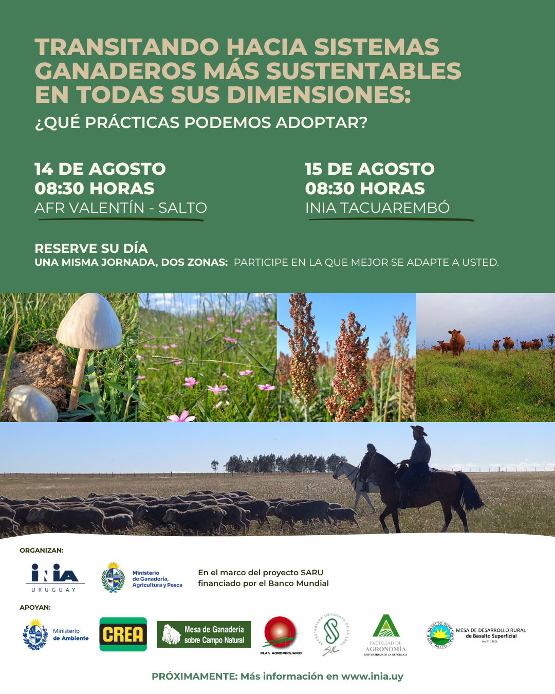 Afiche del taller “Transitando hacia sistemas ganaderos más sustentables en todas sus dimensiones: ¿qué prácticas podemos adoptar?”. Se indican dos fechas: 14 de agosto en SFR Valentín (Salto) y 15 de agosto en INIA Tacuarembó, ambas a las 08:30 horas. Incluye imágenes de campo natural, vacas, corderos, hongos y flores silvestres, junto a los logotipos de instituciones organizadoras y de apoyo.