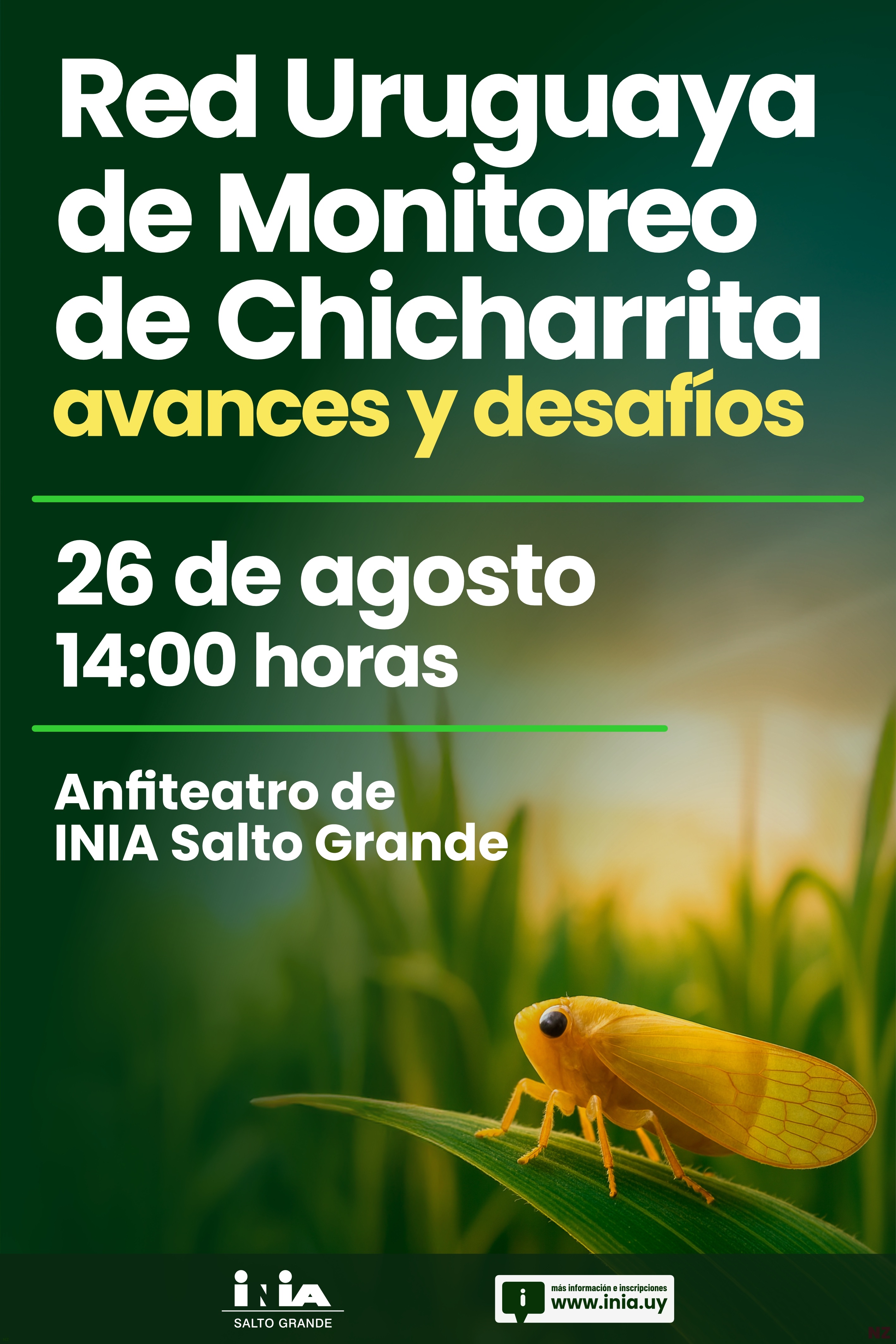 Chicharrita_SG