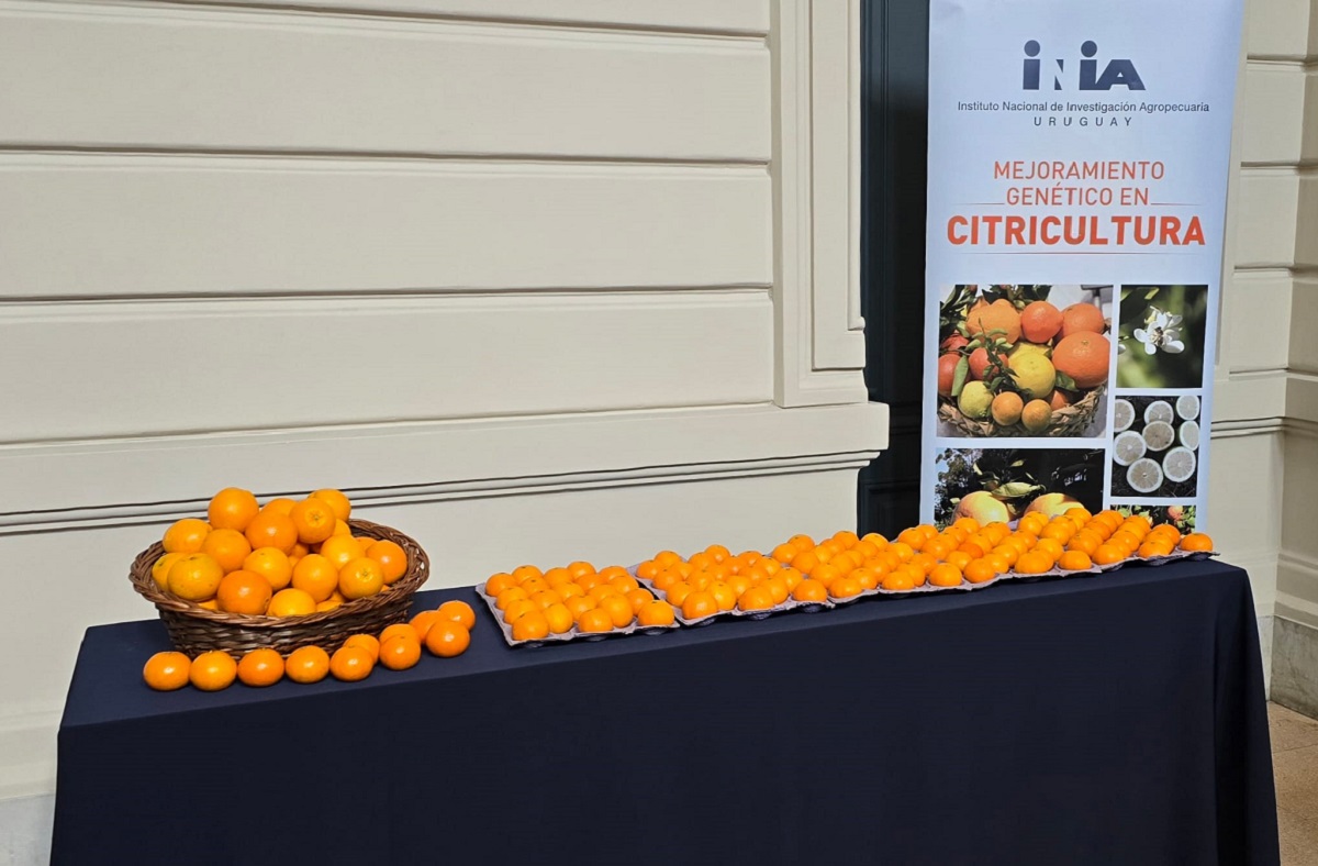 Stand Citrus Acto apertura Semana CyT