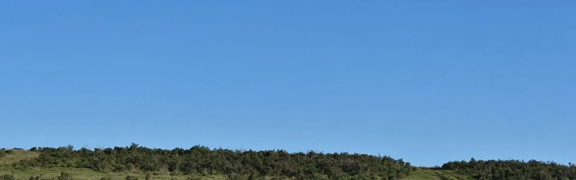 Paisaje de campo natural con cielo celeste despejado
