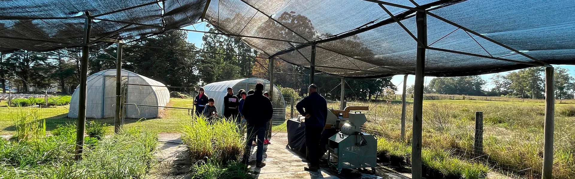 estudiantes en invernáculo de pasturas 