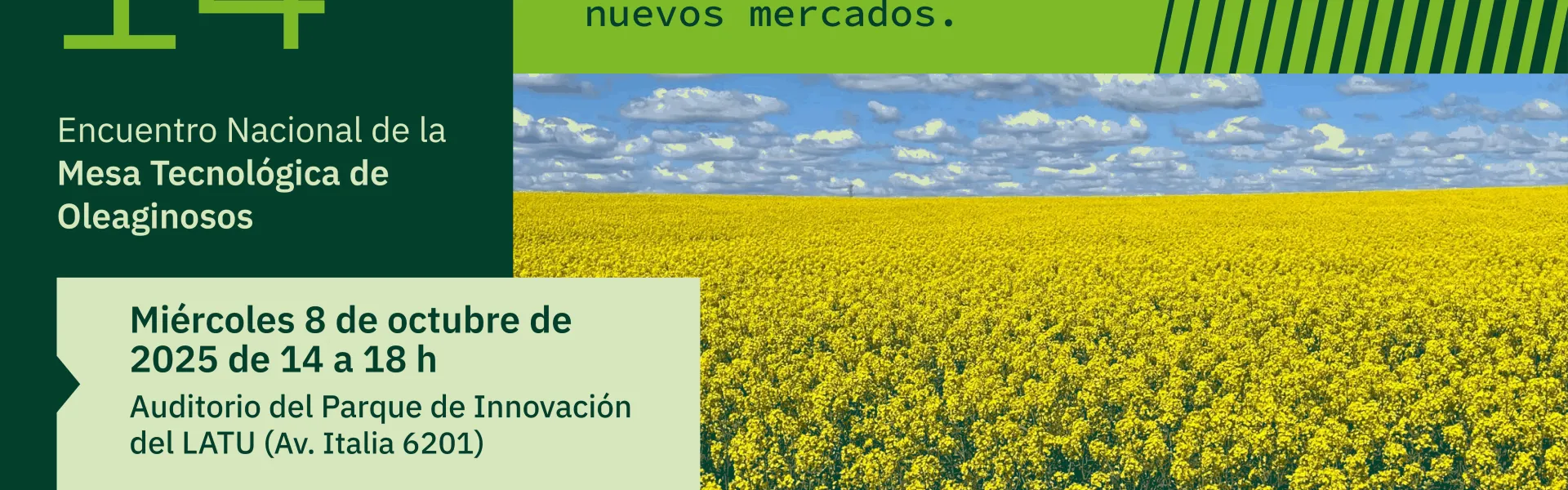 MTO 2025