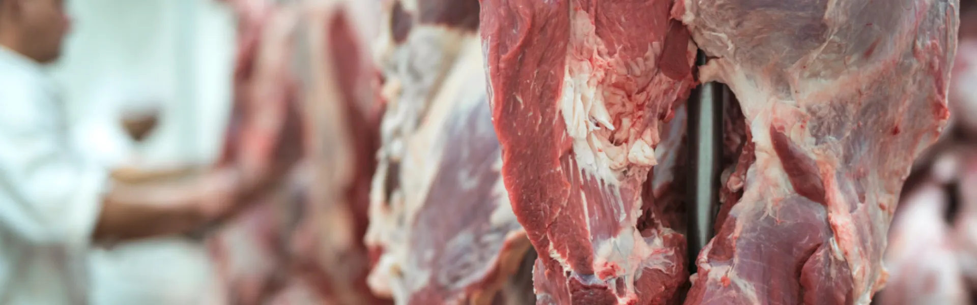 carne en frigorifico