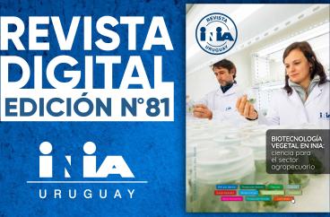 Banner Revista 81