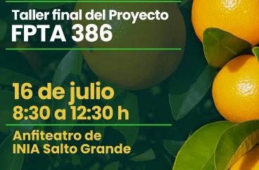 FPTA 386