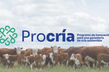 Proyecto Procría