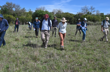 personas caminando campo natural