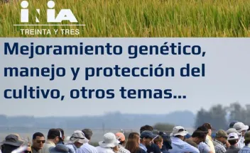 afiche día de campo arroz 2024