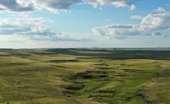 Campo natural