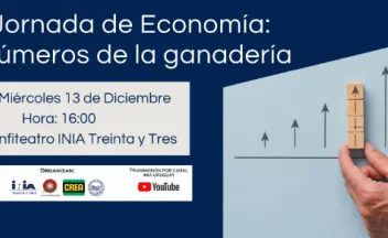 Octaba jornada de economía los números de la ganadería