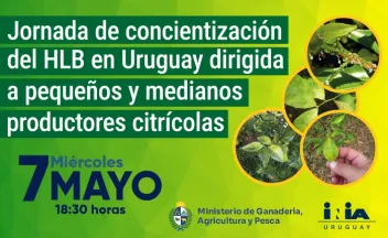 HLB en Uruguay Banner