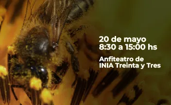 invitación jornada
