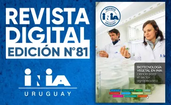 Banner Revista 81