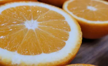 CÍTRICOS