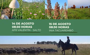 Afiche del taller “Transitando hacia sistemas ganaderos más sustentables en todas sus dimensiones: ¿qué prácticas podemos adoptar?”. Se indican dos fechas: 14 de agosto en SFR Valentín (Salto) y 15 de agosto en INIA Tacuarembó.