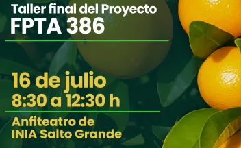 FPTA 386