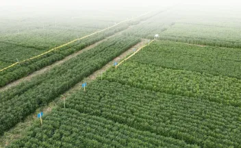 Caracterización climática cultivos