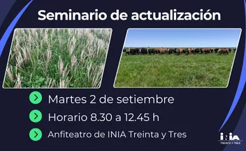 Ajustando el paquete tecnológico de pasturas en sistemas arroz-ganadería