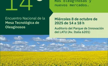 MTO 2025