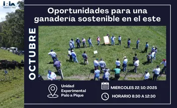 Oportunidades para una ganadería sostenible en el este
